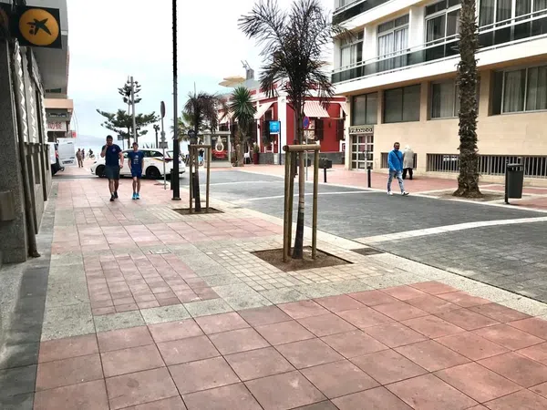 Piso en Calle Luis Morote, 57, Santa Catalina - Canteras - Foto 11