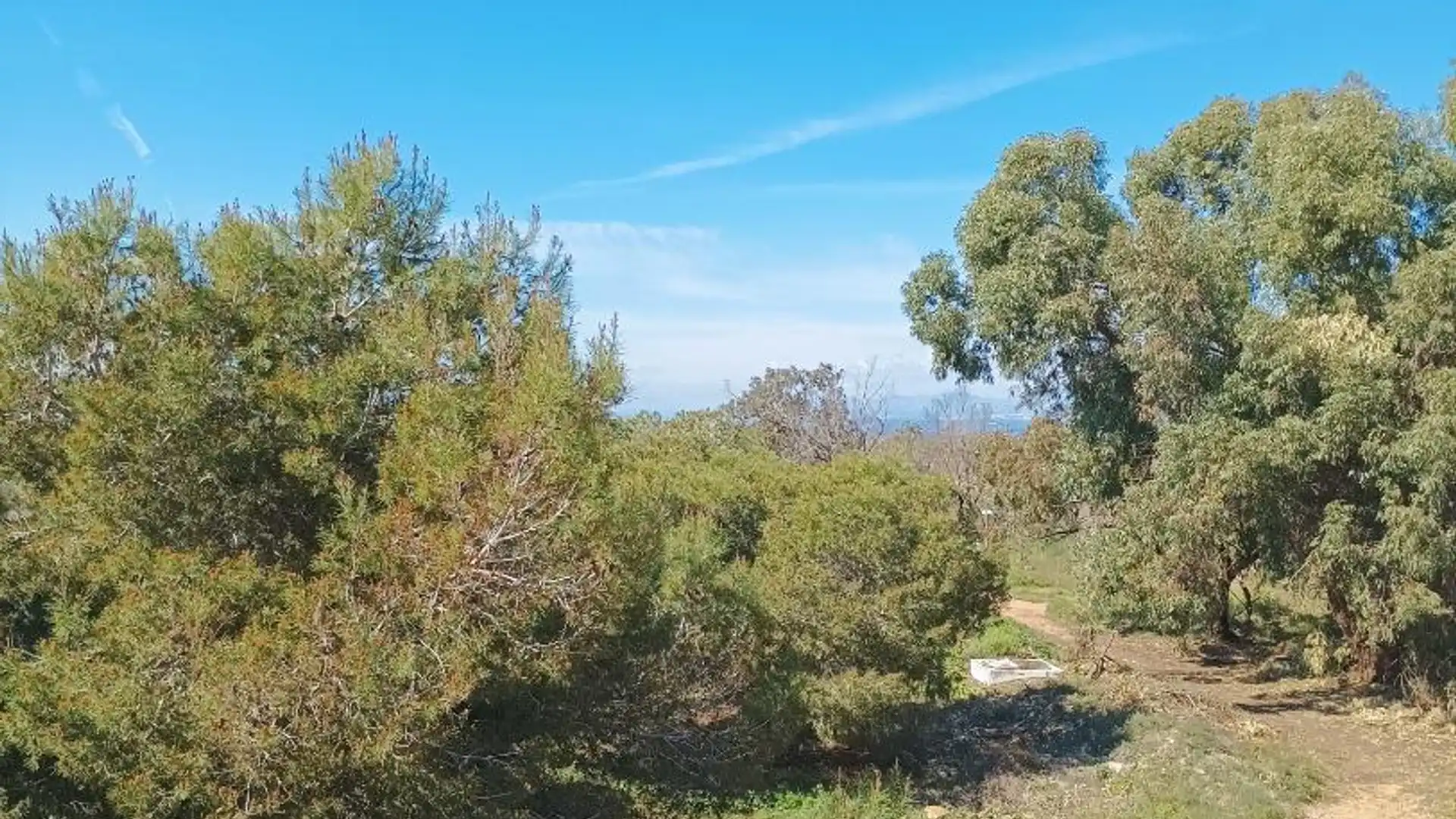 Casa adosada en  Calle Monte de Santa Pola 35 - Foto 16