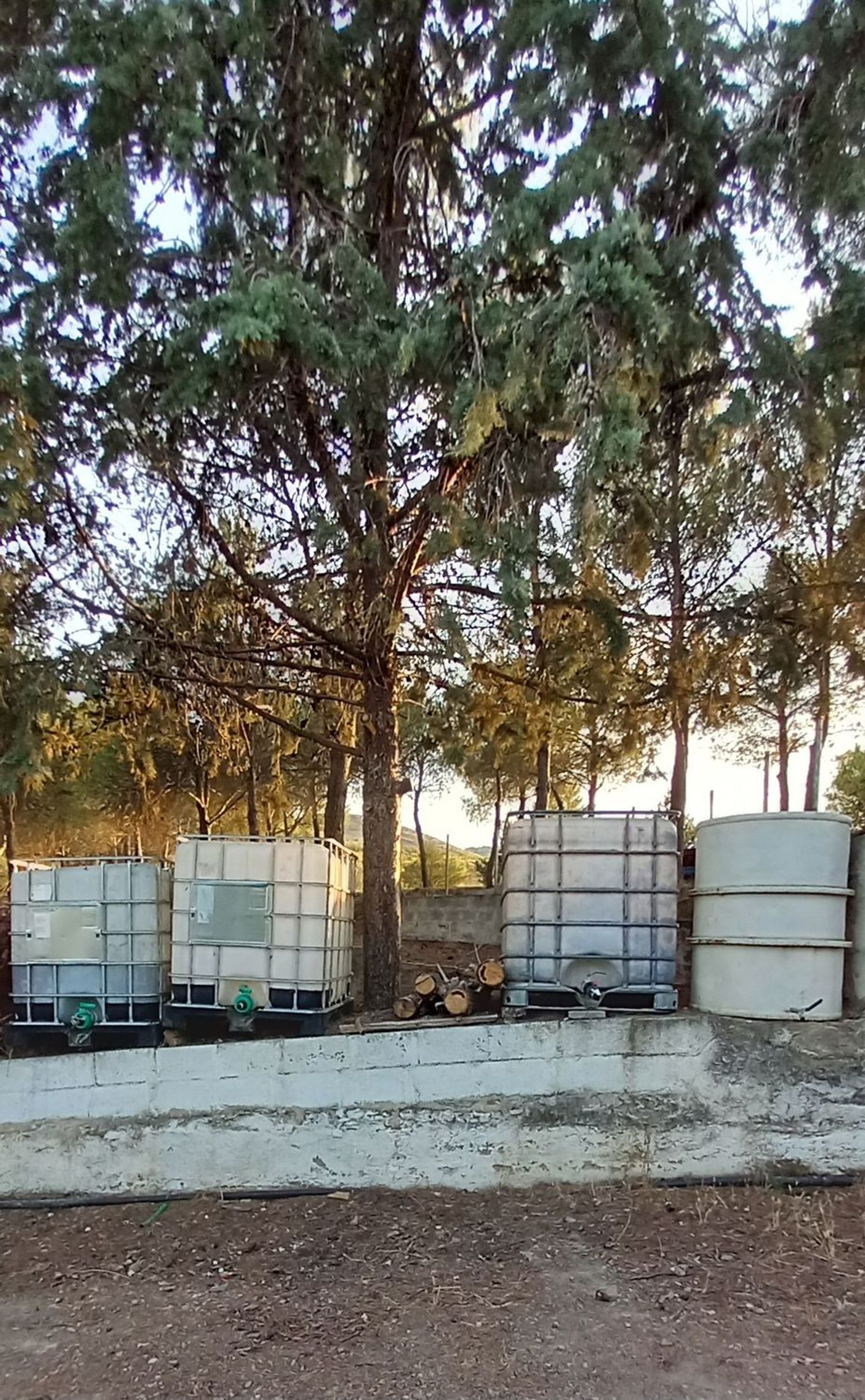 Finca rústica en Carretera de San Antonio s/n - Foto 13