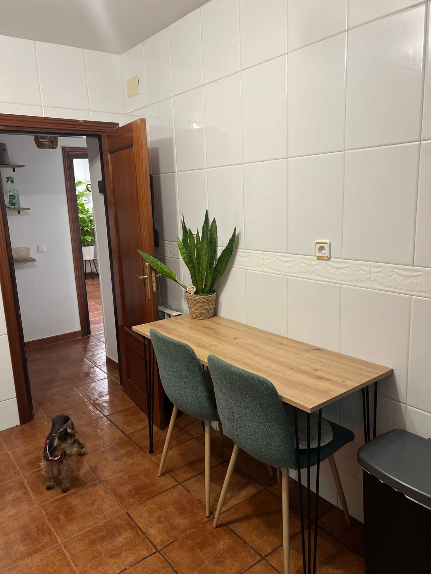 Casa o chalet independiente en Cogolludo - Foto 20