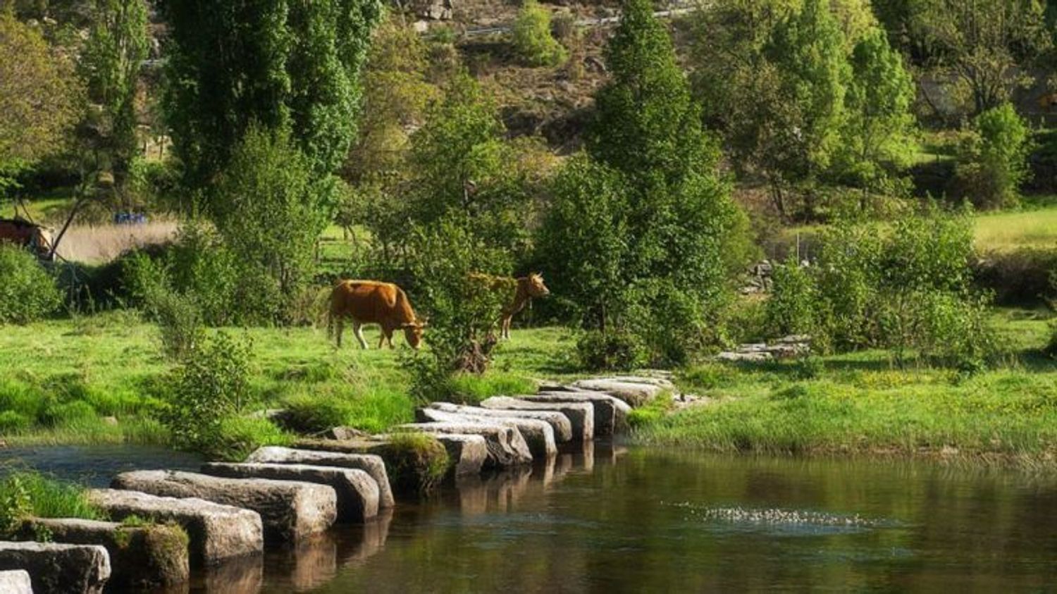 Casa rural en ., 1 - Foto 18