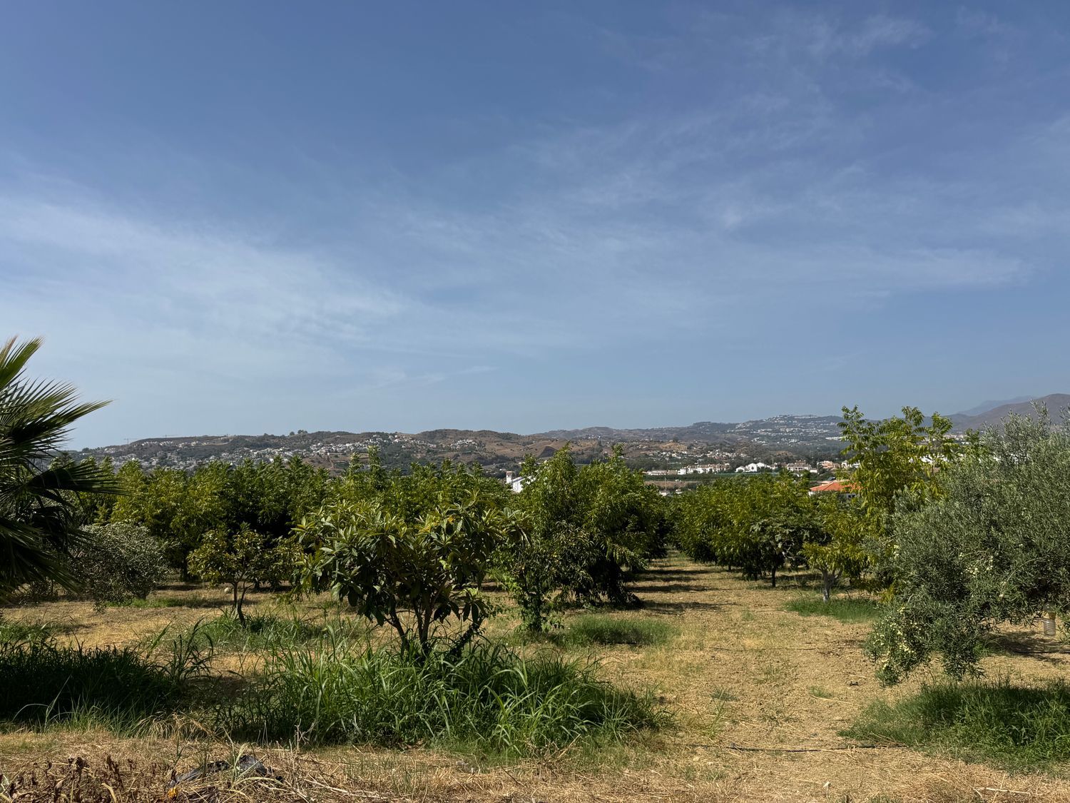 Casa rural en Camino de Campanales, 1, Las Cañadas - Foto 12