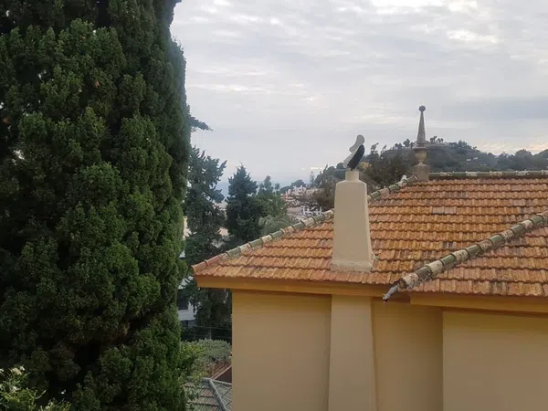 Piso en C/damasco, 3, Limonar - Foto 7