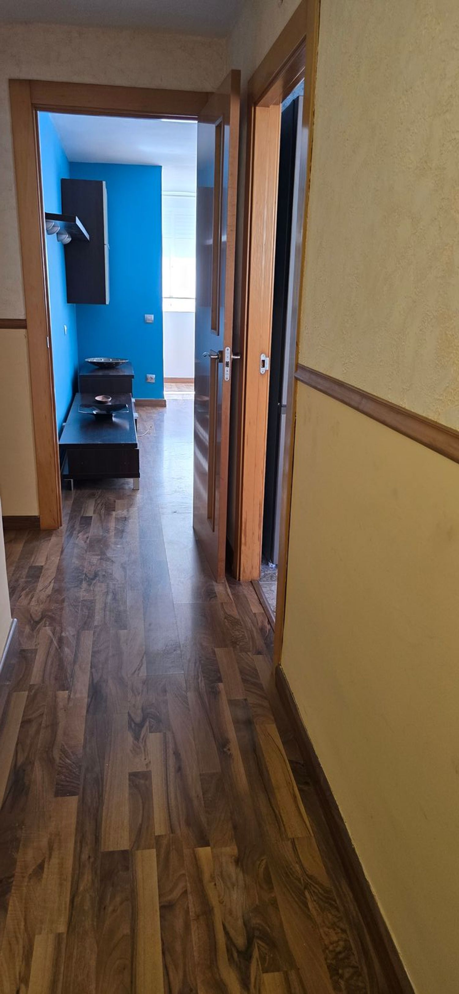 Piso en Avenida Albufereta, 89, La Albufereta - Foto 16