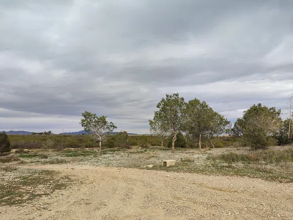 Finca rústica en casa morenos, 4 - Foto 7