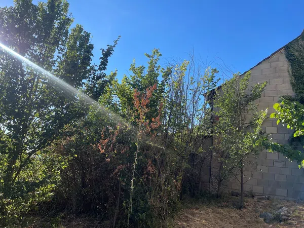 Casa de pueblo en San Pedro Castañero, 116 - Foto 7