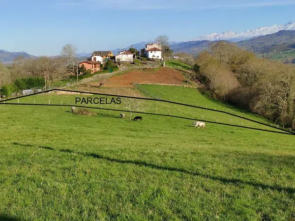 Casa o chalet independiente en Aldea Sorribes s/n - Foto 8