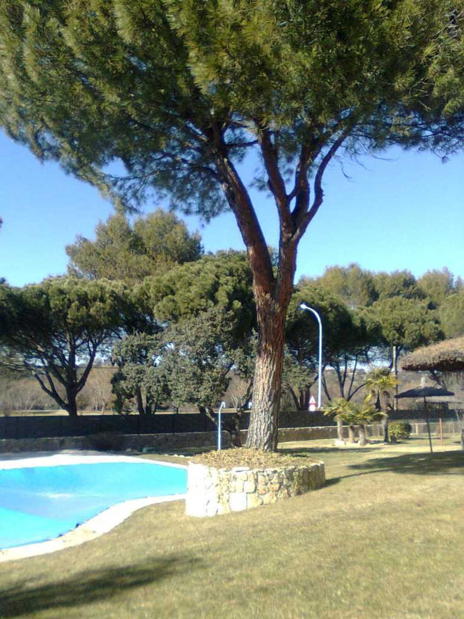 Piso en Calle Guadiana, 115, El Bosque, El Bosque - Foto 11