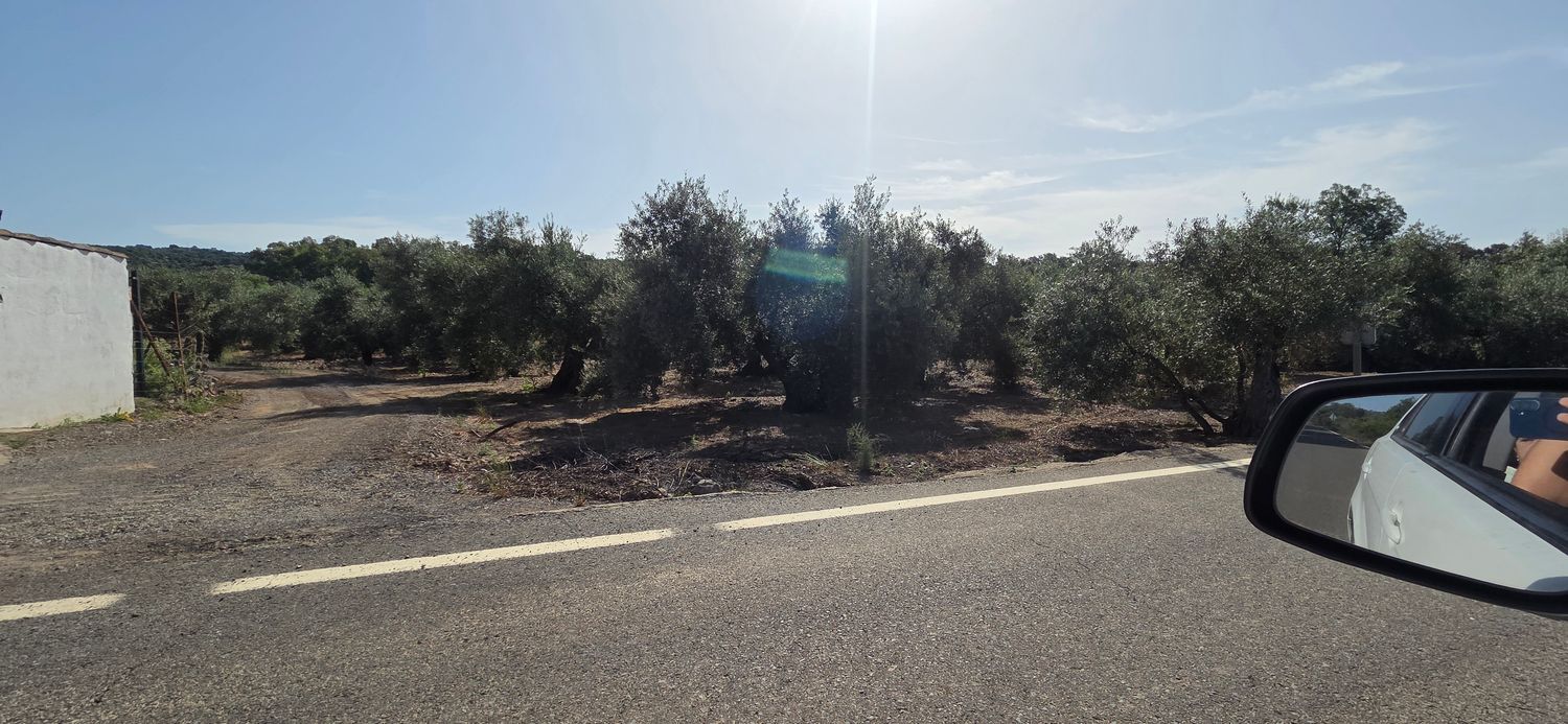 Cortijo en Cortijo en A-3001, 5 - Foto 12
