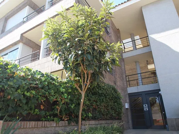 Piso en Centre - Estació, Centre - Estació - Foto 32