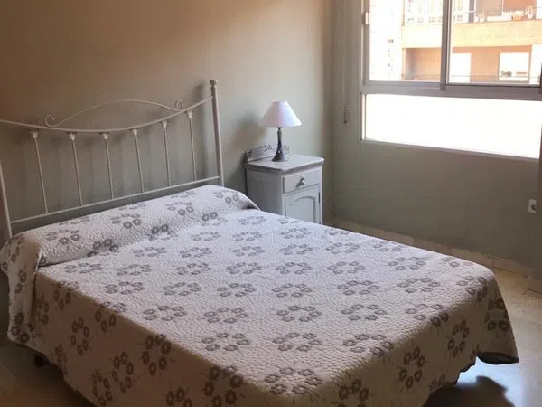 Piso en Calle Pedro Antonio de Alarcón, 60, Jardín Botánico - Foto 13