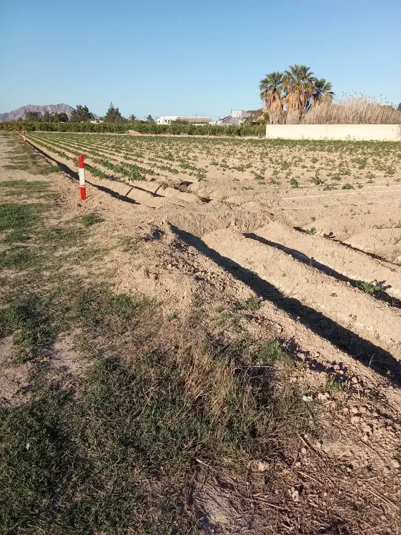 Finca rústica en  Carril de los Murcia 5 - Foto 14