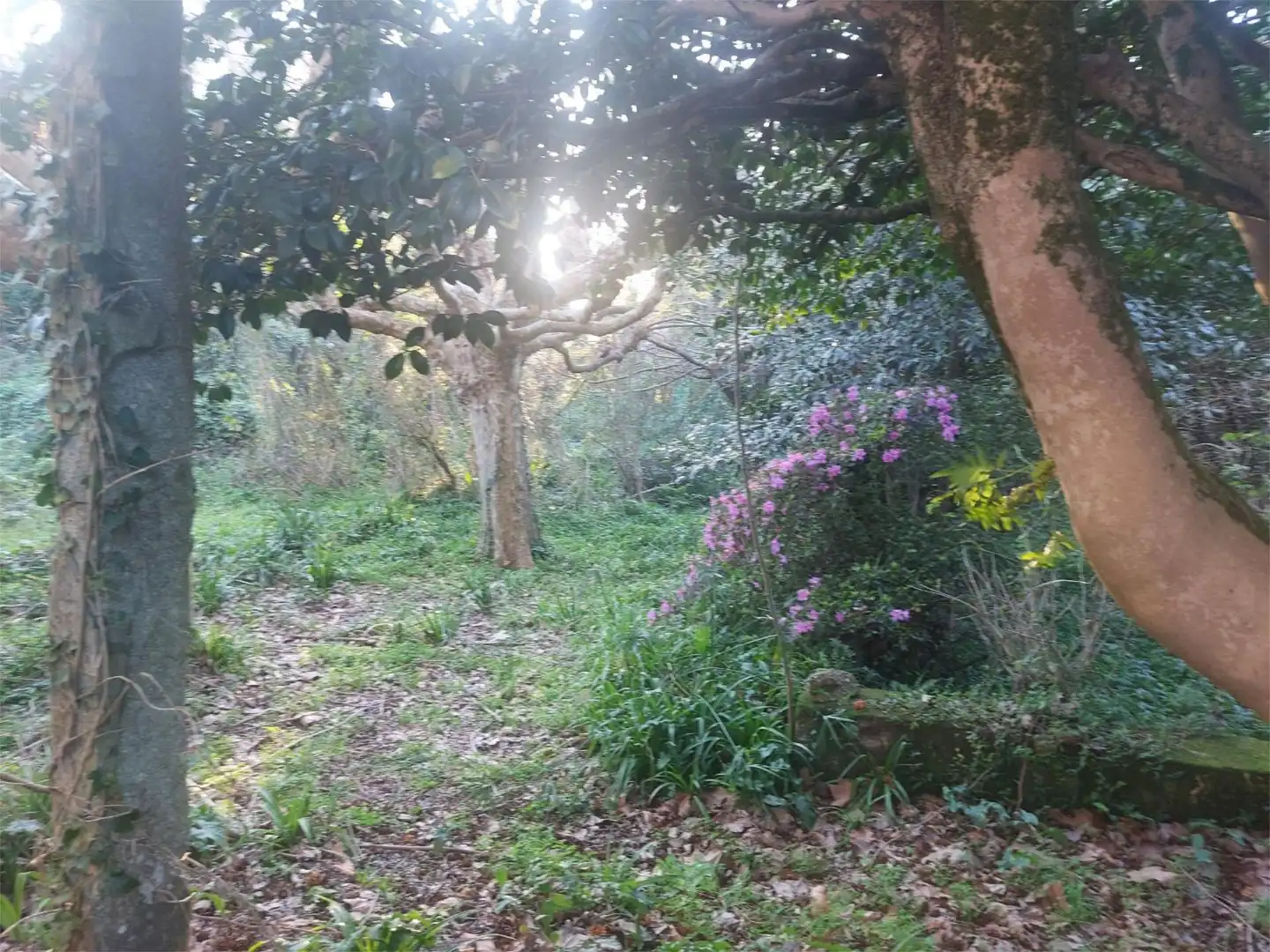 Chalet en Vilagarcía de Arousa - Foto 5