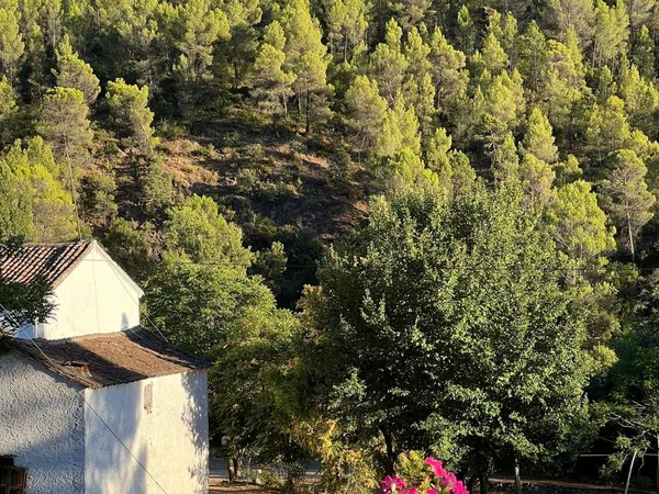 Cortijo en Carretera a Cortijos Nuevos s/n - Foto 28