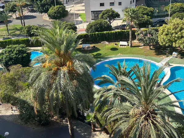 Piso en Calle Migjorn, 5, Alitana - Casablanca - Foto 19