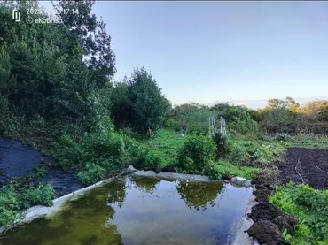 Finca rústica en  Pista La Cancela 97 - Foto 6