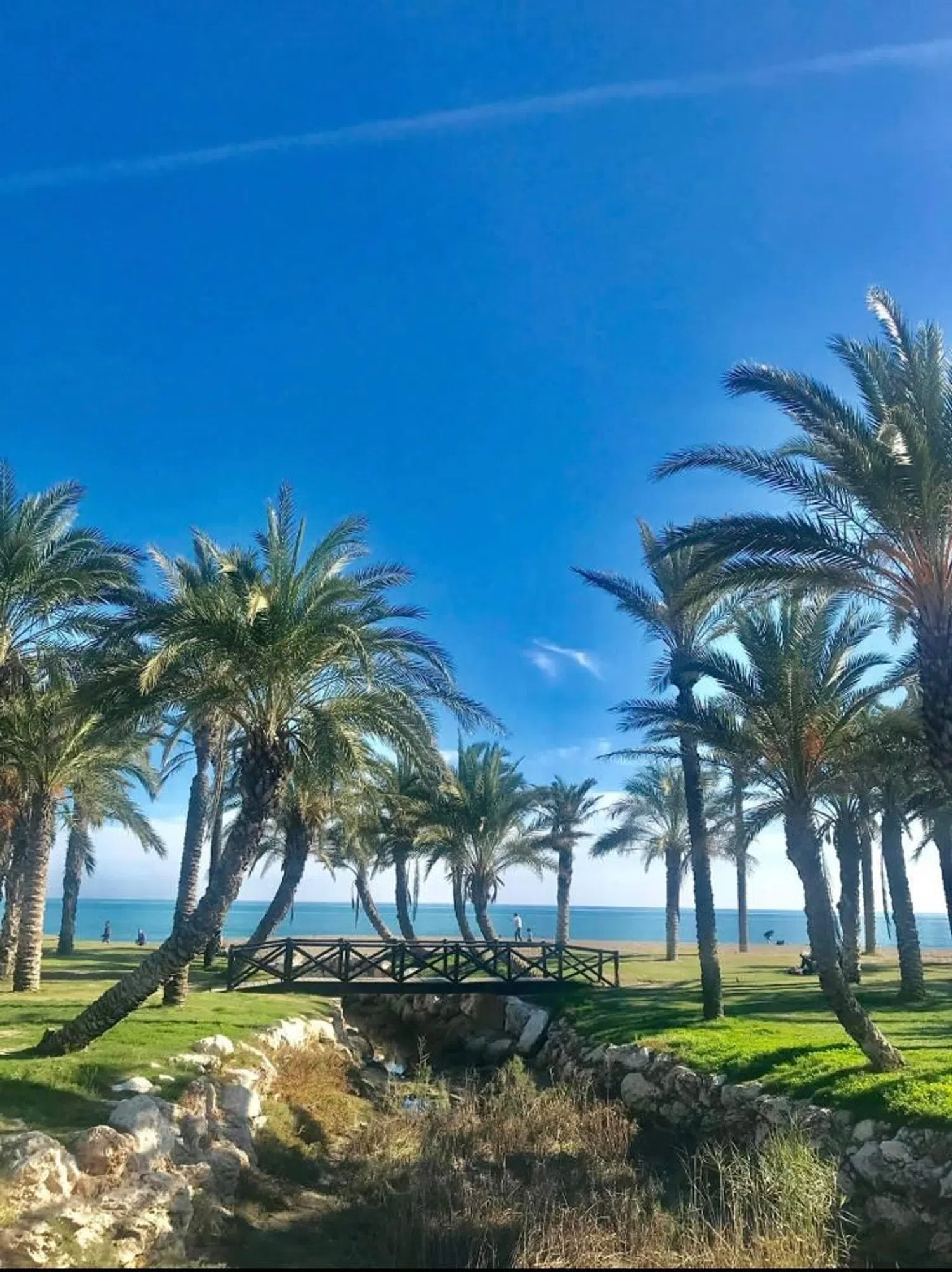 Estudio en camino De la Cizaña, 23 - Foto 14