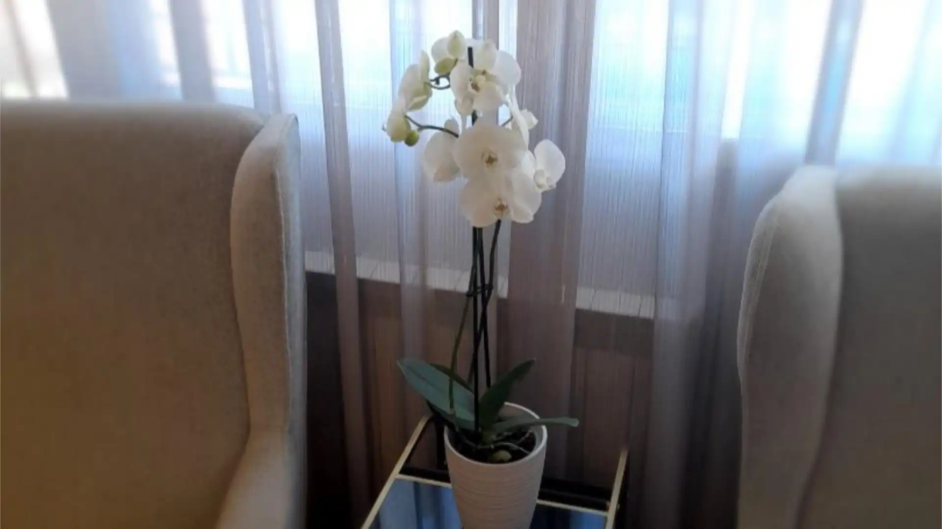 Piso en  Carrer del Vespre 11 - Foto 14