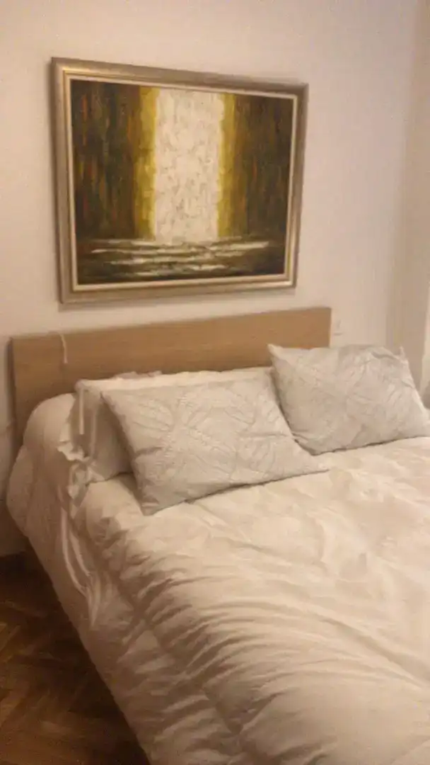 Apartamento en  Paseo de Canalejas 37 - Foto 2