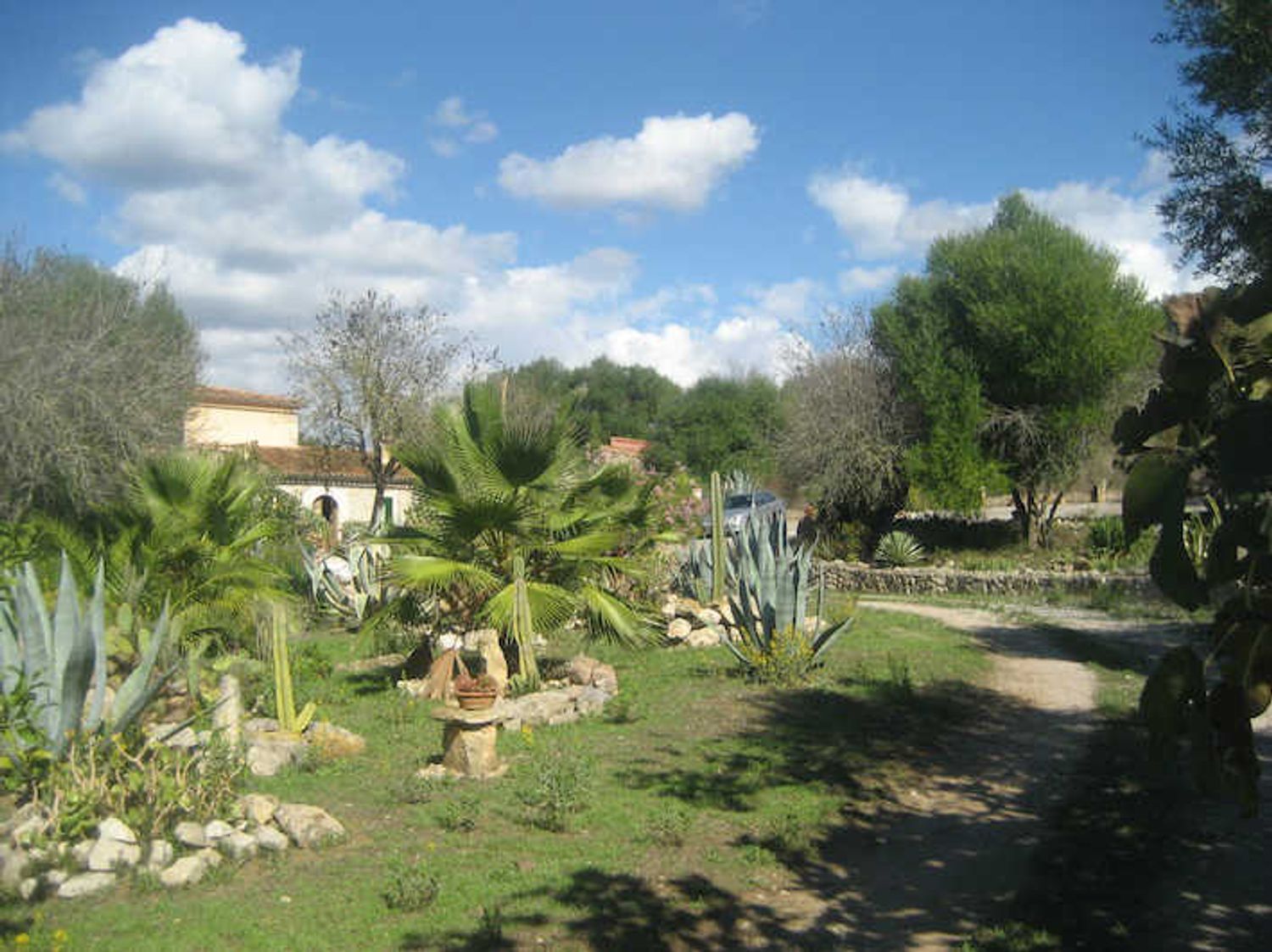 Finca rústica en Carretera Montuïri - Lloret s/n - Foto 6