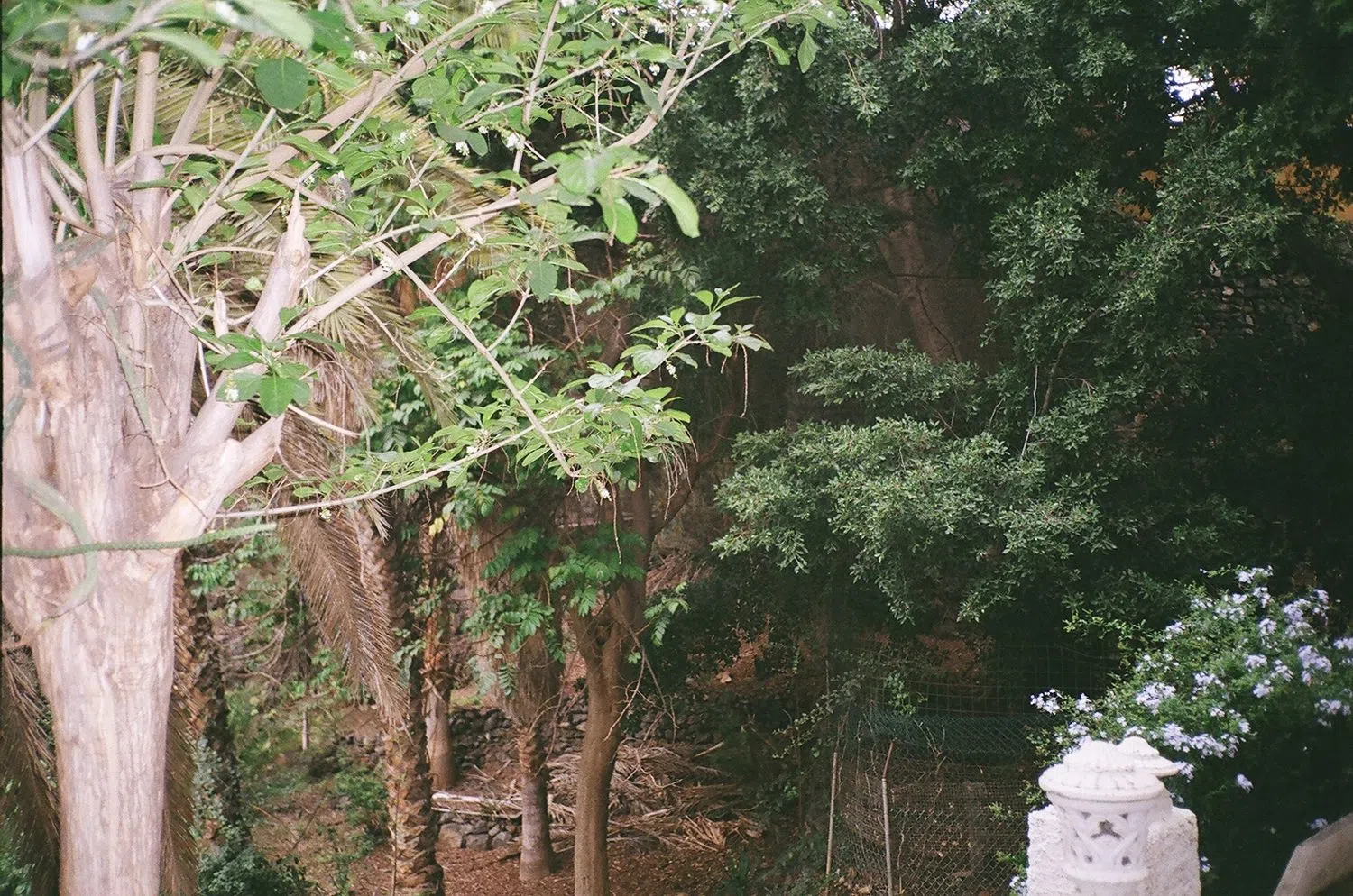 Piso en calle Bélgica, 2 - Foto 16