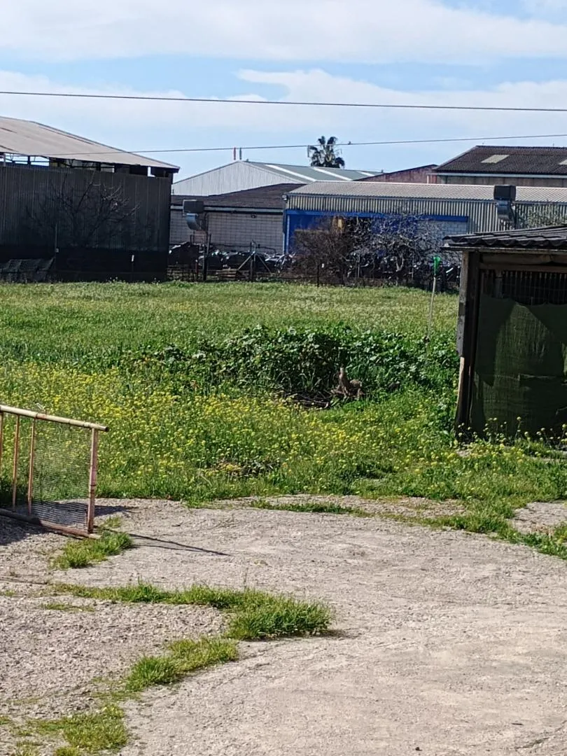 Finca rústica en  Camino de la Barquera 51 - Foto 13