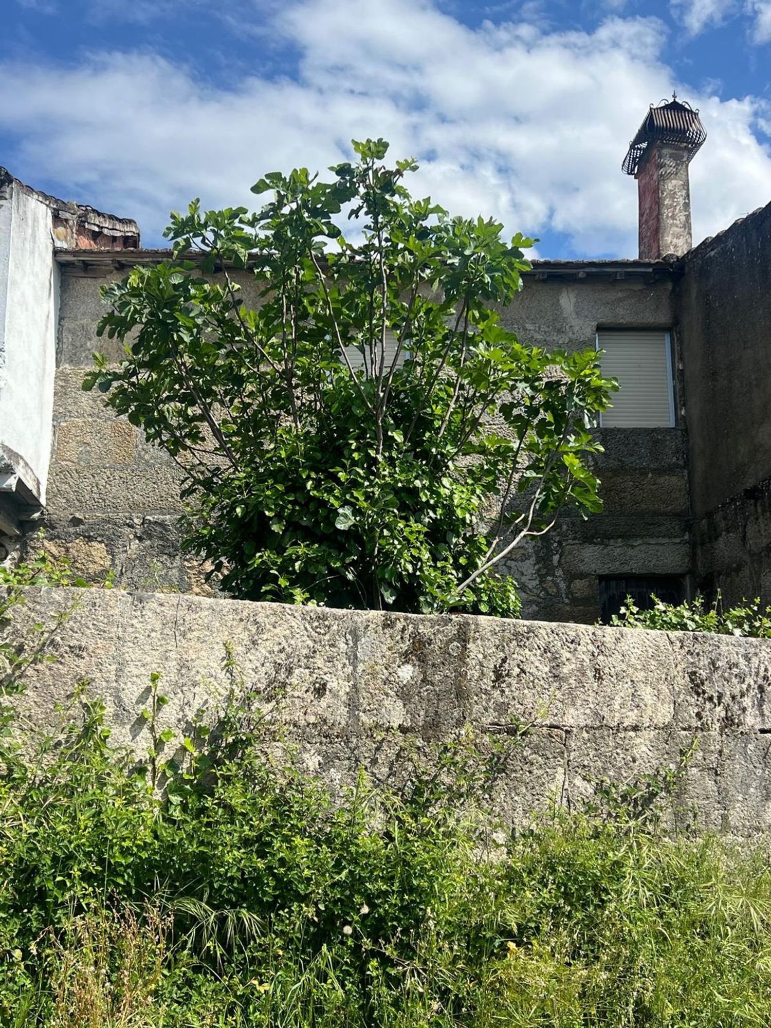 Casa de pueblo en Ou-310, 50 - Foto 4