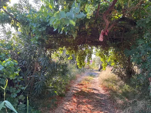 Finca rústica en Polígono 1, 3 - Foto 2