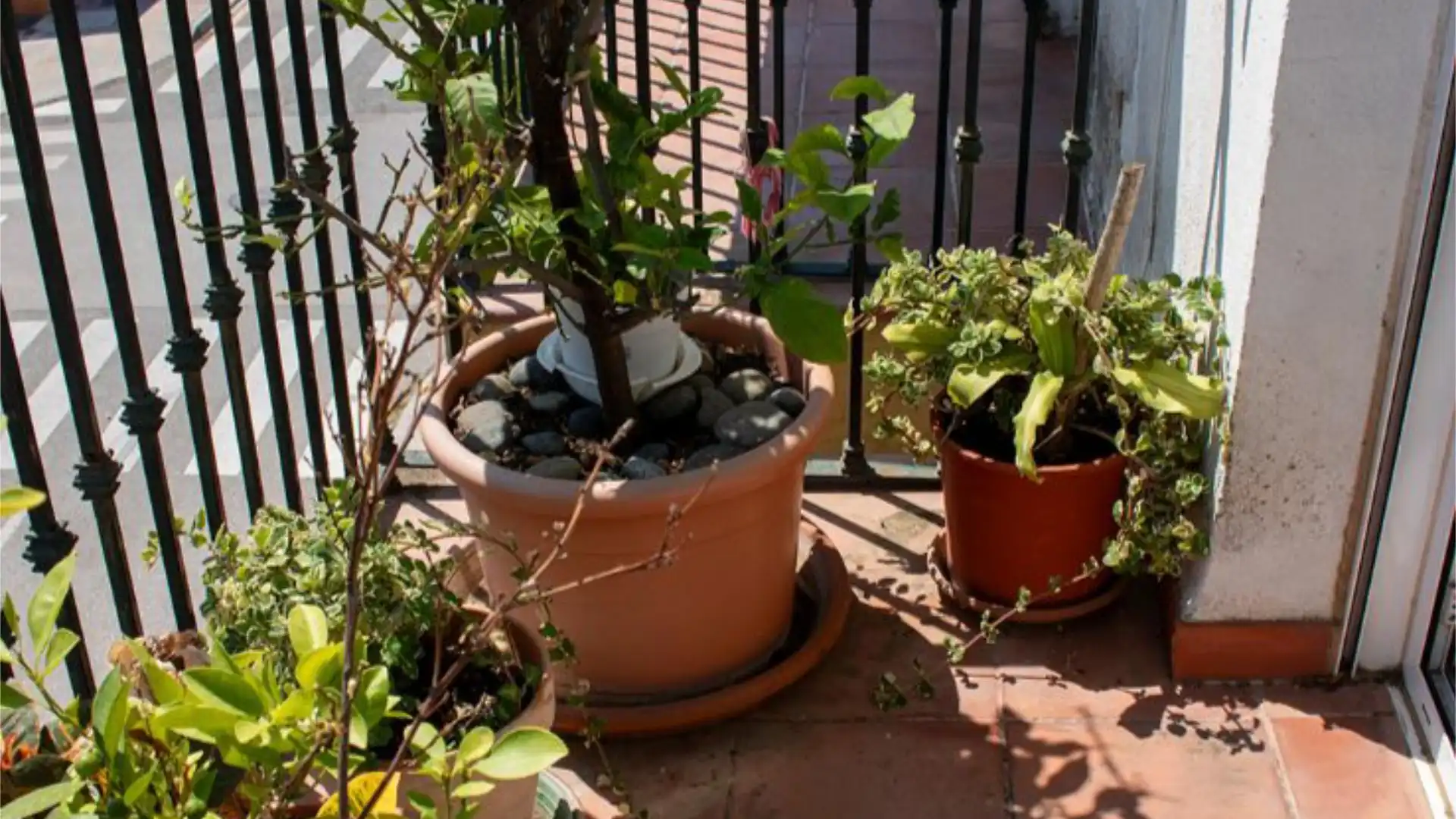 Piso en  Santa Lucía 23 - Foto 21