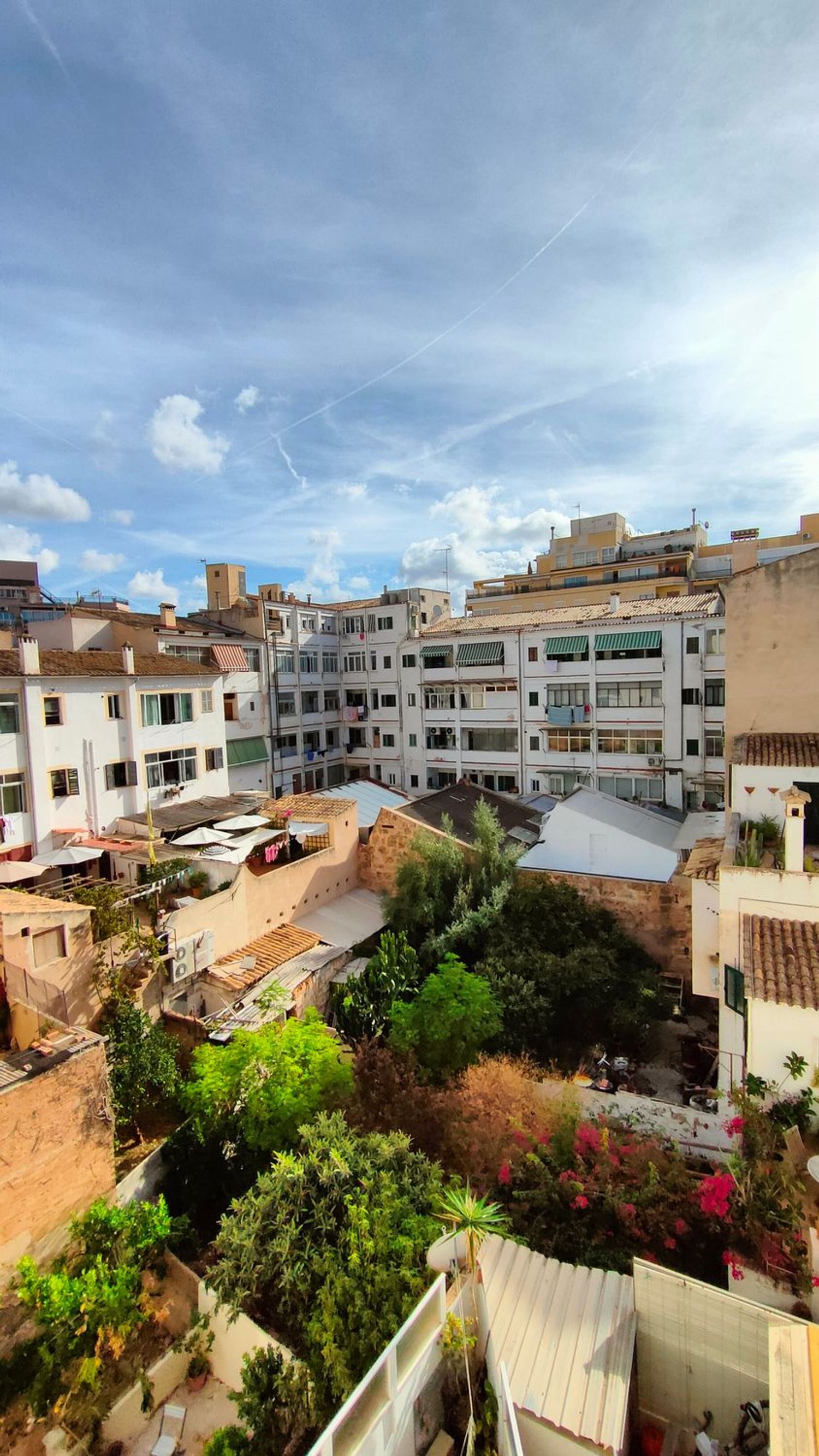 Piso en Calle de Tomàs Forteza, 25, Foners - Foto 22