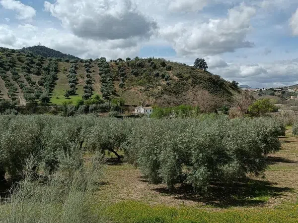Casa rural en Calle Huertas, 16 - Foto 27