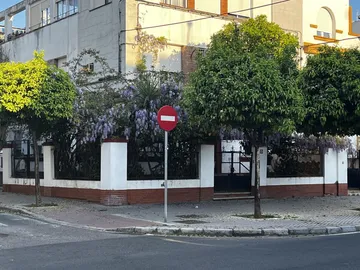 Planta baja en  Calle Manuel Ramón Alarcón 23 - Foto 2