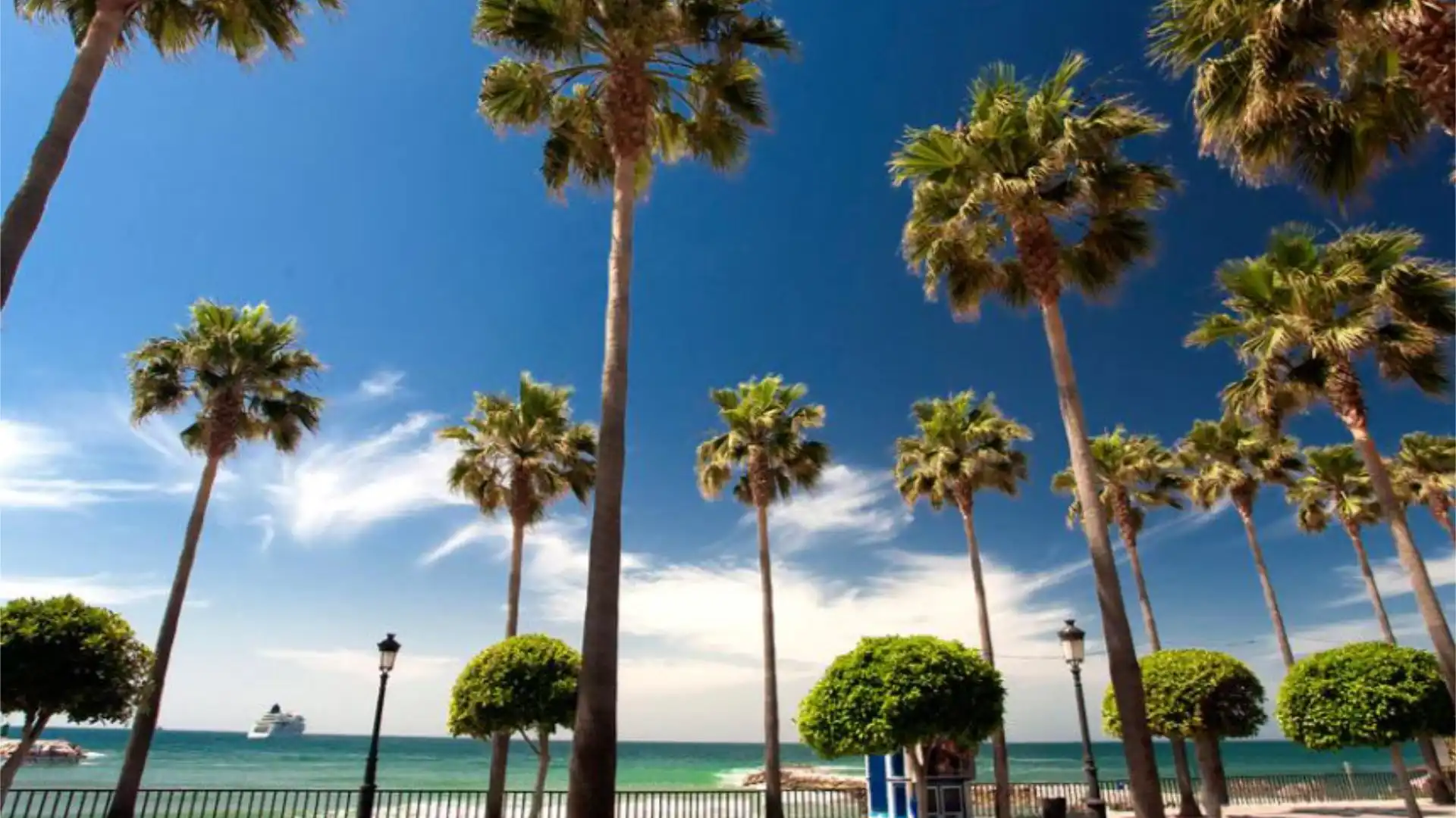 Piso en  Avenida Conde Rudi 2 - Foto 17