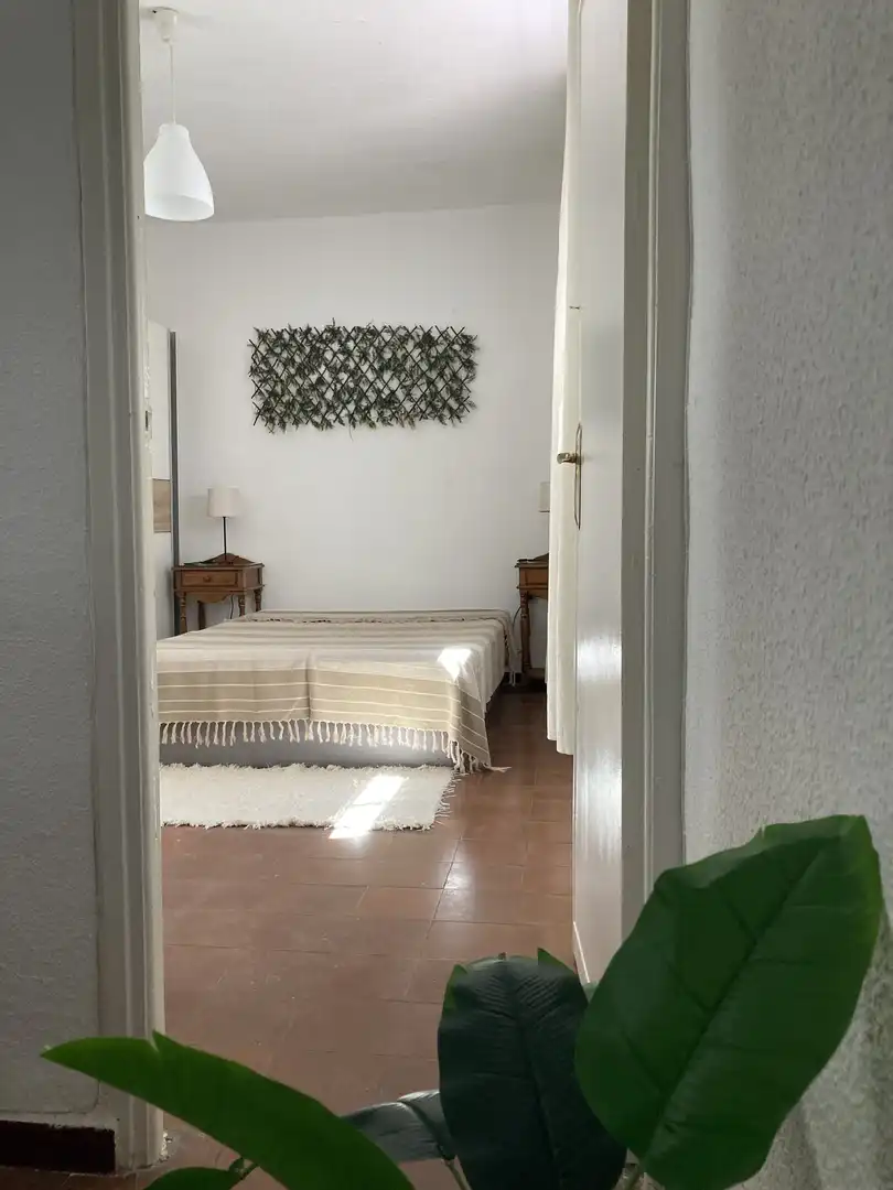 Piso en  Calle Julio Pellicer 36 - Foto 3