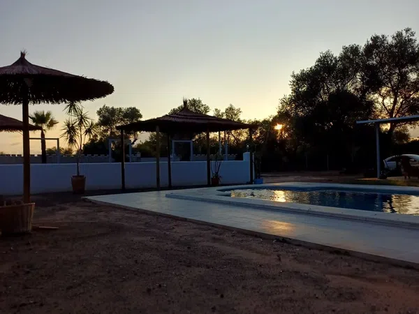 Finca rústica en Coria del Río - Foto 4