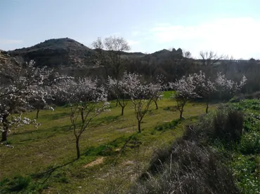 Finca rústica en calle Huerta Zaragoceta S.N - Foto 30