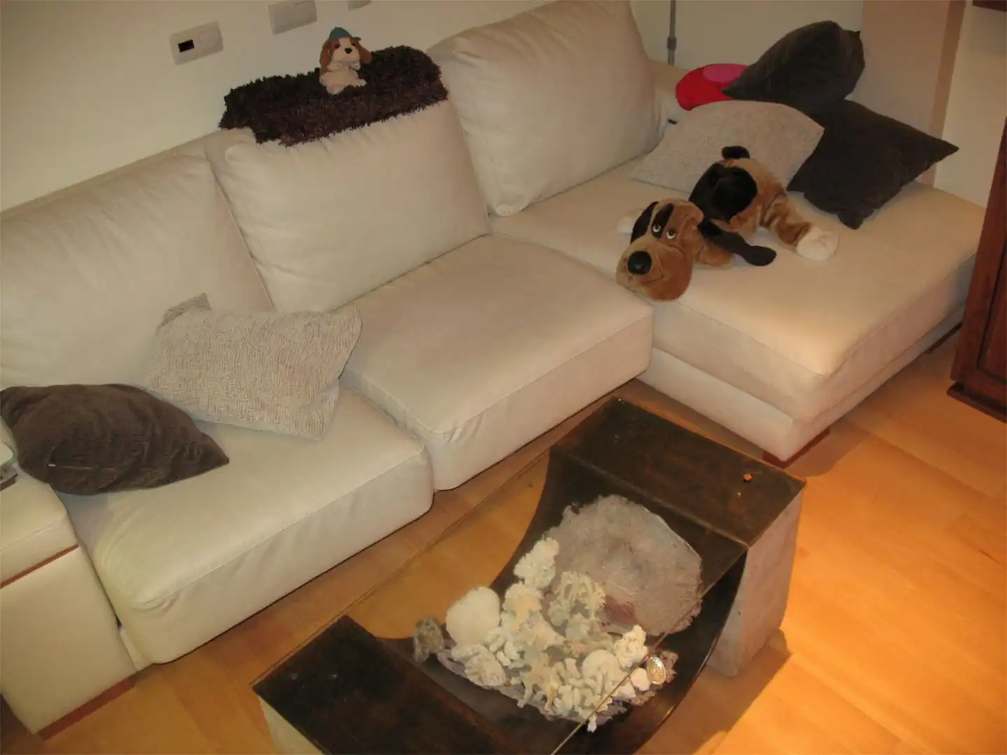 Piso en  Paseo de Canalejas 130 - Foto 4