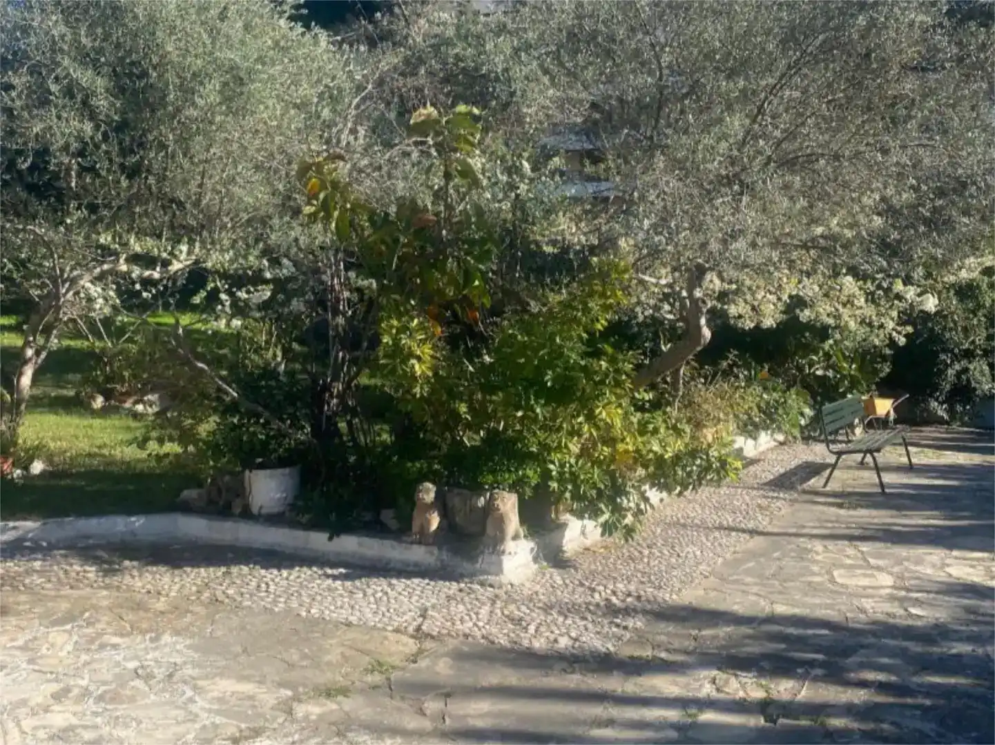 Piso en  Passeig Marítim de Sant Joan de Déu 188 - Foto 43