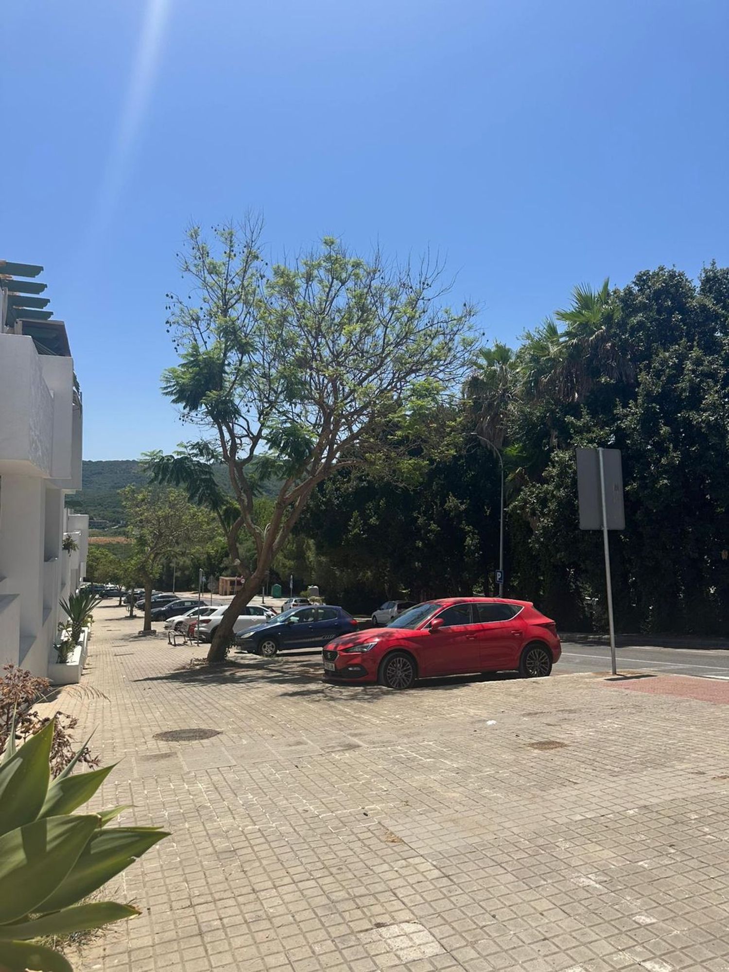 Piso en Calle Orion, 3, San García - La Juliana, San García - La Juliana - Foto 21