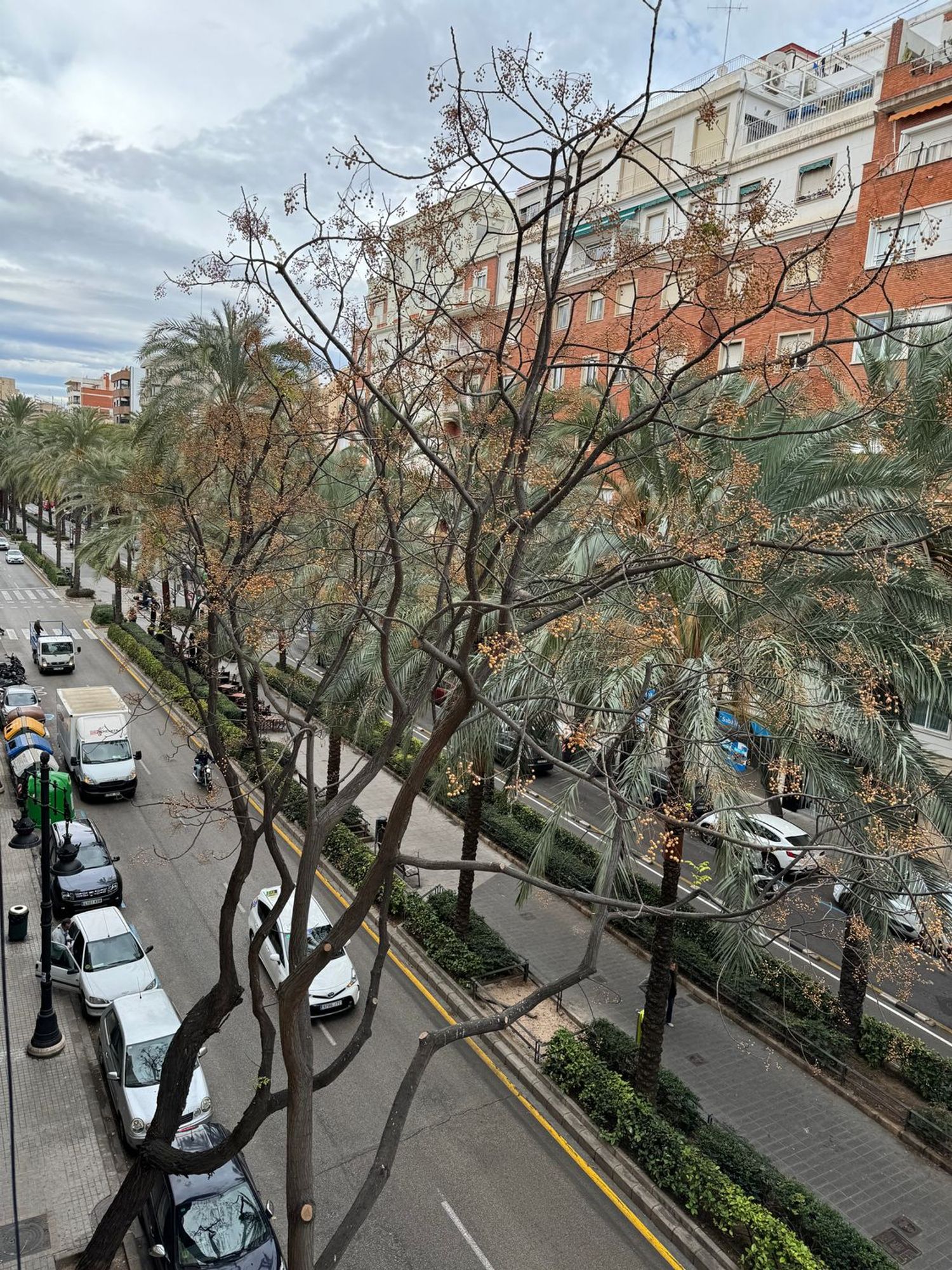 Piso en Avenida del Regne de València, 64, Russafa - Foto 23
