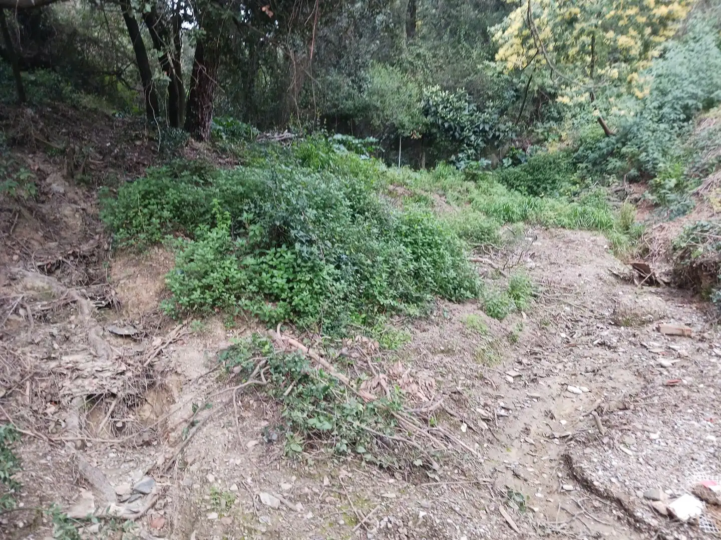 Terreno Residencial en  Carrer Barranc del Llop 29 - Foto 8