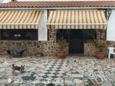 Finca rústica en  Calle del Acebuchal 74 - Foto 2