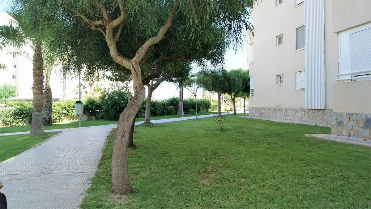 Apartamento en  Calle Calle Músico José Mira Figueroa, - Foto 24