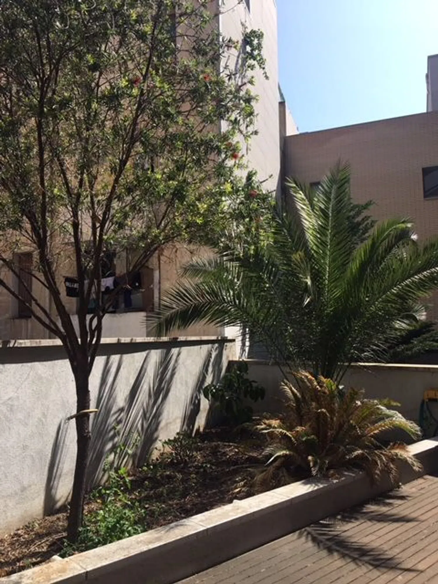 Dúplex en calle de Petrarca, 3 - 5 - Foto 10