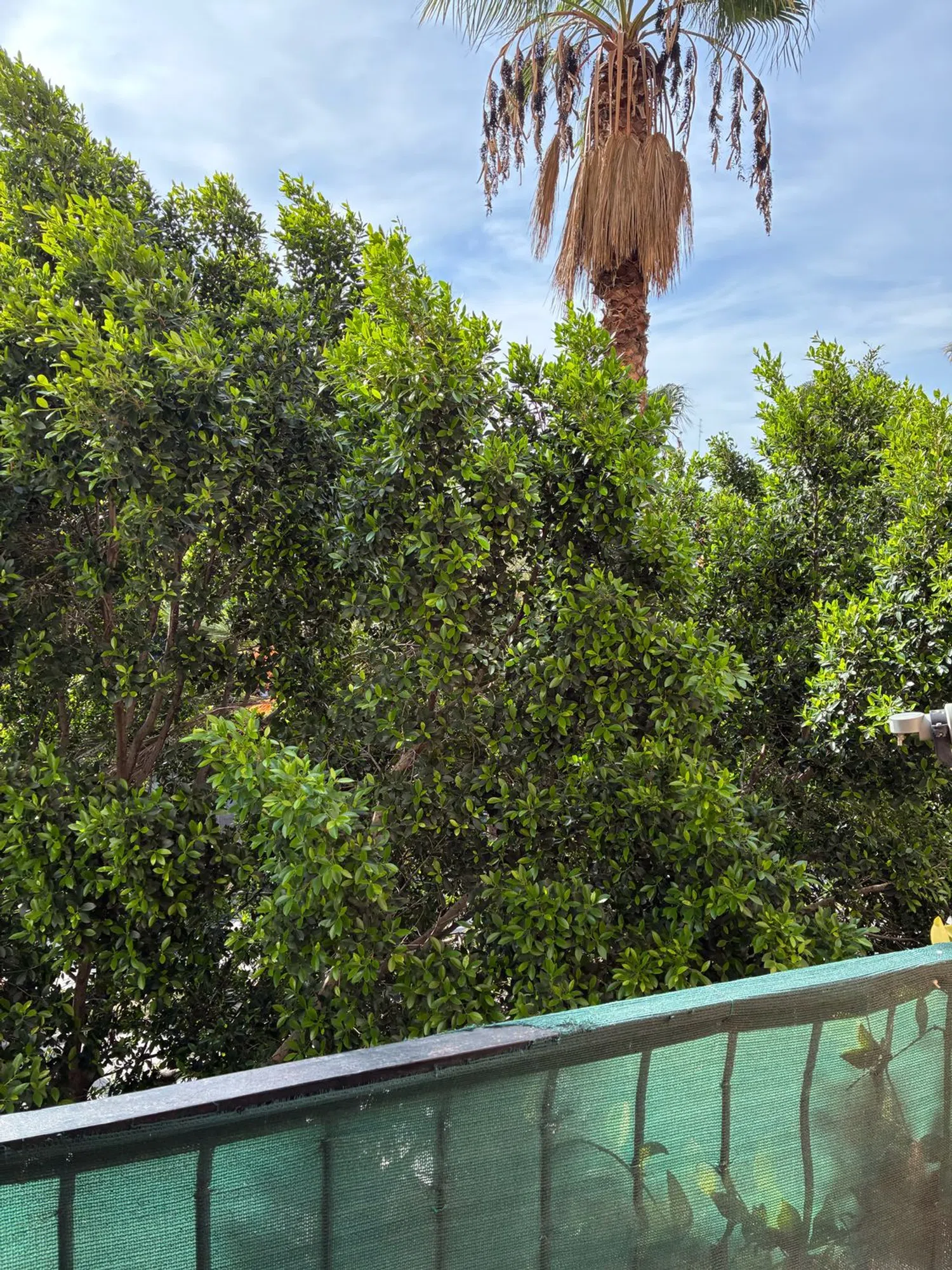 Piso en calle de Ruaya, 18 - Foto 8