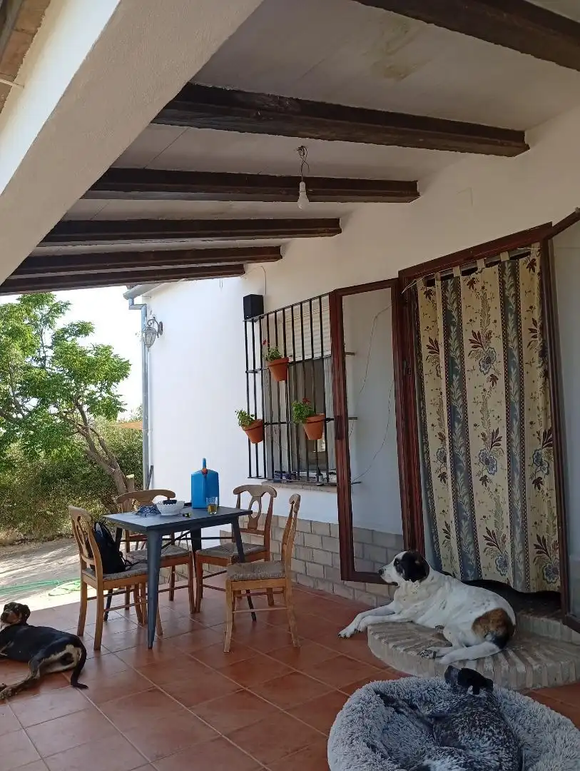 Finca rústica en  Calle de Antonio Machado 29 - Foto 2