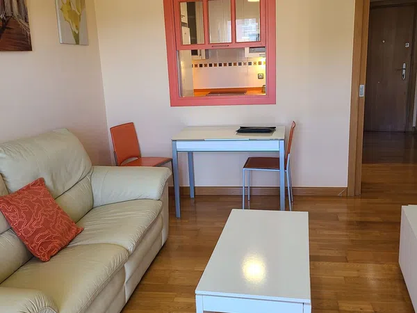 Piso en Paseo Misionero Luis Fontes Servet, 14, Zona Juan Carlos I - Avenida de Europa - Foto 10