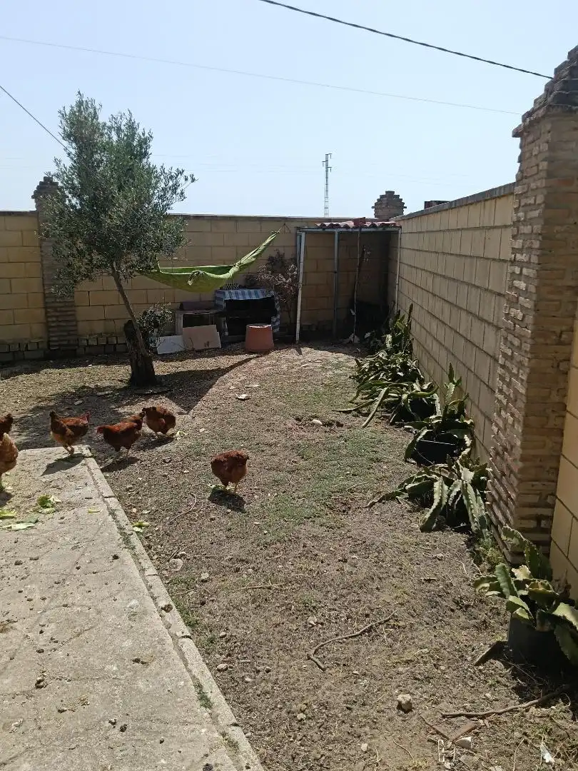 Finca rústica en  Camino Alcornocal 361 - Foto 14