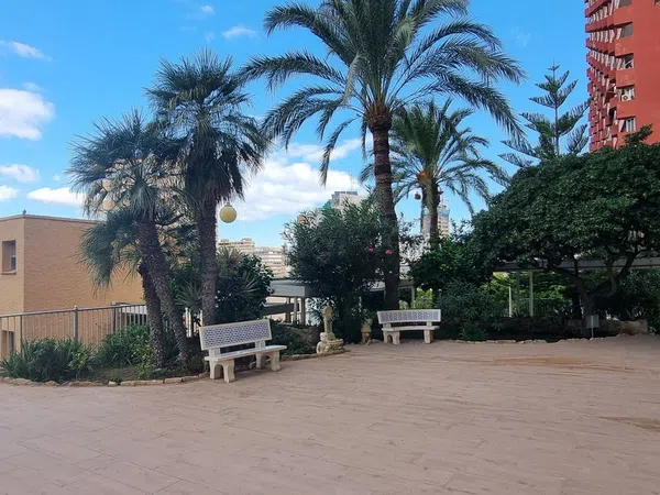 Estudio en Calle Alcalde Manuel Catalán Chana, 9, Zona Sierra Helada - Foto 11
