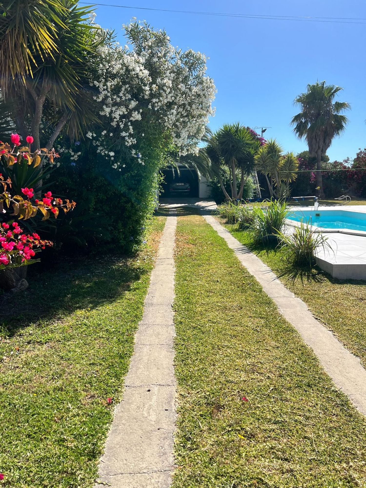 Casa o chalet independiente en Camino de la Macrocarpa, 23 - Foto 17